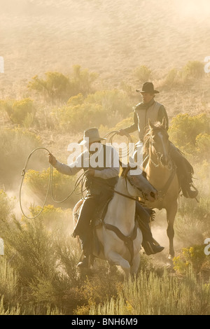 Zwei Cowboys im Galopp und Abseilen durch die Wüste Stockfoto