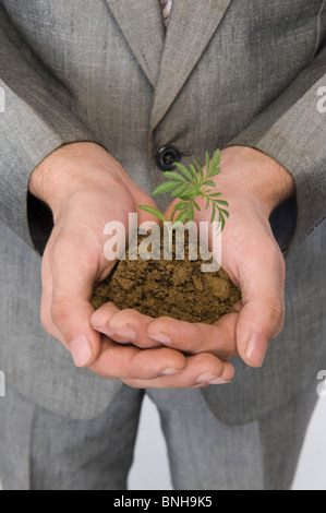 Geschäftsmann hält ein Bäumchen Stockfoto