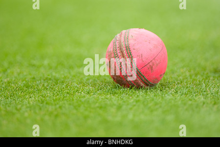 Ein Rosa Leder Cricketball. Bild von James Boardman Stockfoto