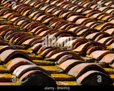 Nahaufnahme von einem alten Ziegeldach in Cortona. Selektiven Fokus. Stockfoto