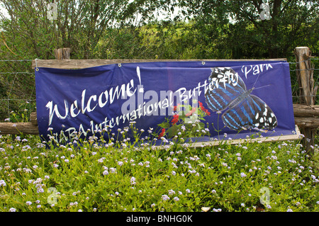 Texas, McAllen. NABA International Butterfly Center. Stockfoto