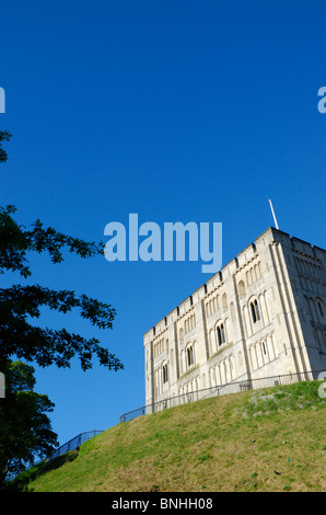 Burg von Norwich, Norfolk, England Stockfoto