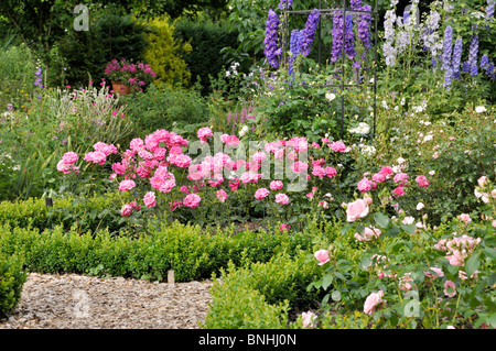 Floribunda-Rose (Rosa France Bleu) und Rittersporn (Delphinium). Design: Marianne und Detlef Lüdke Stockfoto