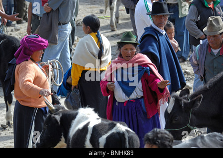 Ecuador Indigene Indio Indios eingeborenen Indianer einheimischen Bevölkerung in Otavalo Markt Otavalo Stadt Anden Stockfoto