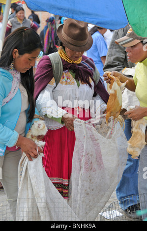 Ecuador Indigene Indio-Indios eingeborenen Indianer einheimischen Einheimischen in Otavalo Markt Otavalo Stadt Otavalo Anden Stockfoto