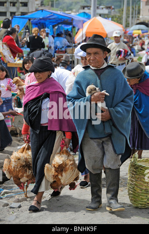 Ecuador Indigene Indio-Indios eingeborenen Indianer einheimischen Einheimischen in Otavalo Markt Otavalo Stadt Otavalo Anden Stockfoto