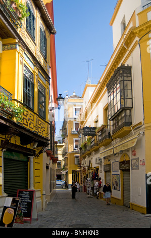 Schmale Straßen Barrio Santa Cruz in Sevilla, Spanien Stockfoto