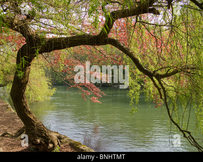 An der Themse bei Maidenhead-1 Stockfoto