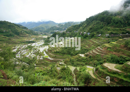 Philippinen Asien Luzon Cordillera Central Kordilleren Berge Landschaft Insel Provinz Ifugao Reisterrassen UNESCO Welt Stockfoto