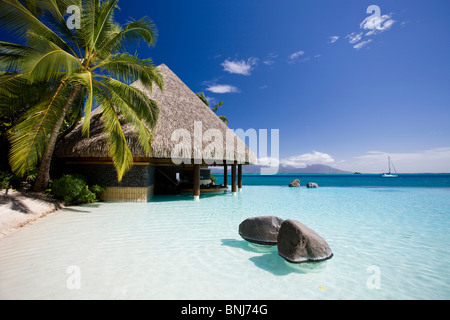 Tahiti Tahiti Nui Insel Papete Stadt Meer Intercontinental Resort Blau Strohhütte Hütte Wasser Palmen Reisen Tourismus Urlaub Urlaub Stockfoto