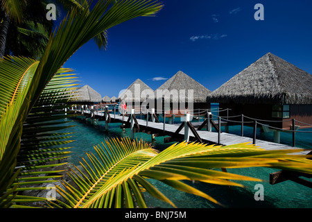 Tahiti Tahiti Nui Insel Papete Stadt Meer Intercontinental Resort Strohhütten Hotel Hotel Anordnung Hütte Bungalow Palmen Reisen Stockfoto