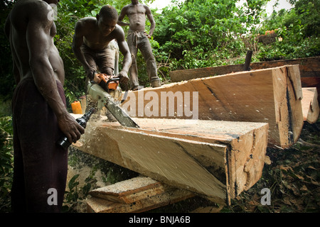 Männer benutzen eine kleine Kettensäge Bretter aus dem Stamm von einem großen Ceiba Baum schneiden nach dem Abholzen auf landwirtschaftlichen Nutzflächen, ghana Stockfoto