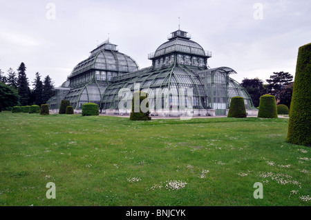 Palmenhaus Schönbrunn, Wien, Österreich, Europa Stockfoto