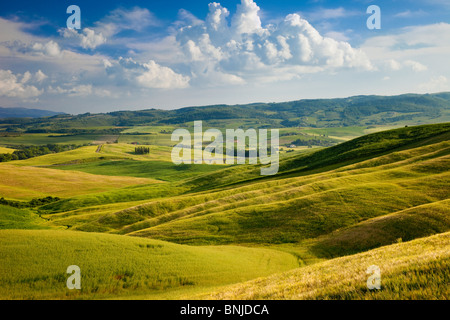 Toskana in der Nähe von San Quirico Val d ' Orcia, Toskana Italien Stockfoto