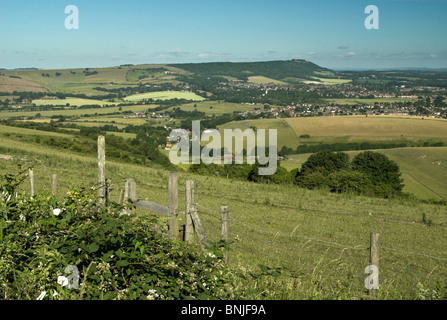 Ein Blick auf Chanctonbury Ring in den South Downs National Park. Stockfoto