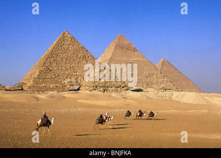 Ägypten März 2007 in der Nähe von Cairo Stadt Pyramiden von Gizeh UNESCO World Heritage Website Kamel Kamele Reiter Reiten Stockfoto