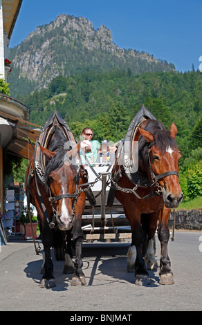 Pferdekutsche auf der letzten hügelige Strecke zum Schloss Hohenschwangau bei Füssen in Bayern, Deutschland. Stockfoto