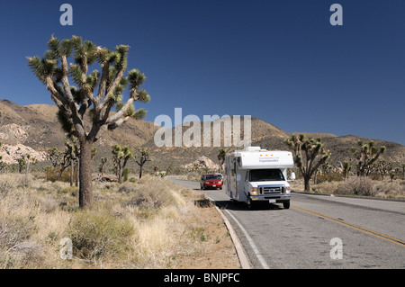 Roadbear Wohnmobil Camper Wohnwagen Joshua Tree National Park Street Route Auto treibende Bäume California USA Nordamerika Reisen Stockfoto