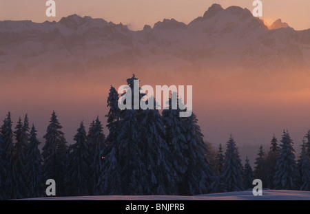 Gäbris Schweiz Kanton Appenzell Ausserrhoden Holz Wald Fichten Abend Stimmung Dämmerung Twilight Schneeberg Alp Stein Stockfoto