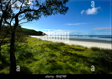 Nordende der sieben Meile Strand Lennox Head Northern New South Wales Australien Stockfoto