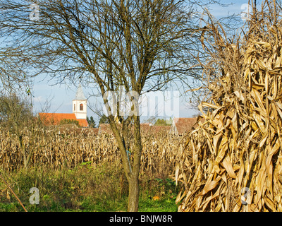 Herbst im pannonischen Dorf irgendwo in Kroatien. Stockfoto