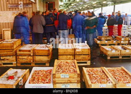 Boxed frischen Fisch, Garnelen und Krabben werden versteigert von Docks von Göteborg (Göteborg), Märkte und restaurants Stockfoto