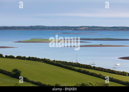 Felder und Strangford Lough in der Nähe der Stadt Killinchy zwischen Comber und Killyleagh, County Down, Nordirland, Vereinigtes Königreich Stockfoto