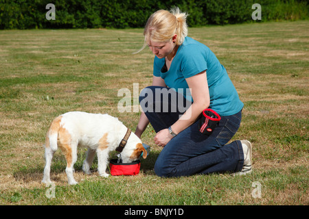 Frau, die er Wasser, Parson-Russell-Terrier / Parson Jack Russell Terrier, kniend Stockfoto