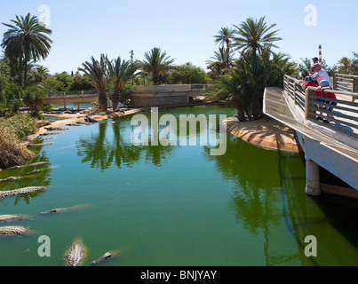 Touristen auf der Suche auf die Krokodile im Abschnitt Crocod'Iles der Parc Djerba erkunden, Midoun, Djerba, Tunesien Stockfoto