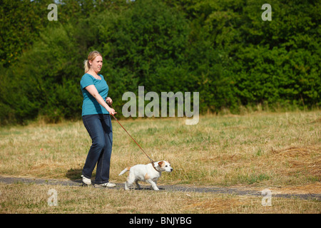 Frau mit Parson Russell Terrier Hund an der Leine ziehen / Parson Jack Russell Terrier, ein Spaziergang Stockfoto