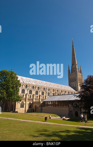 Norwich Kathedrale in Norwich, Norfolk, England, Großbritannien, Großbritannien Stockfoto