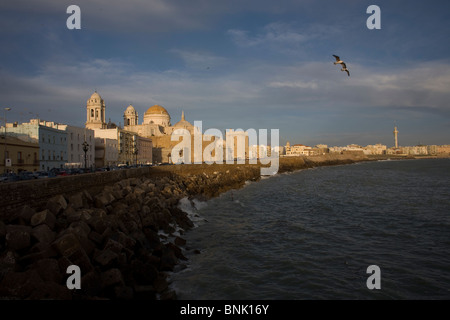 Die Kathedrale liegt am Atlantischen Ozean in Cadiz, Andalusien, Spanien, 17. April 2010. Stockfoto