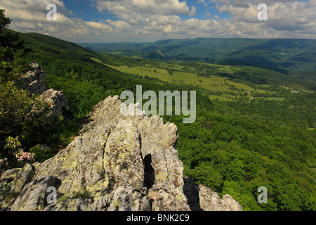 Blick auf Deutschland Tal und Fichte Knopf aus North Fork Bergweg, Franklin, West Virginia, USA Stockfoto