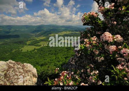 Blick auf Deutschland Tal und Fichte Knopf aus North Fork Bergweg, Franklin, West Virginia, USA Stockfoto