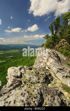 Blick auf Deutschland Tal und Fichte Knopf aus North Fork Bergweg, Franklin, West Virginia, USA Stockfoto