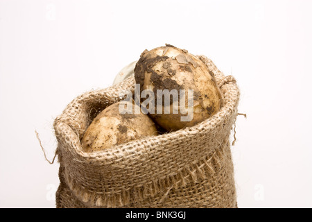 Plünderung neue Kartoffeln aus niedrigen Perspektive auf weißen Hintergrund isoliert. Stockfoto