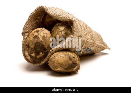 Plünderung Frühkartoffeln aus niedrigen Perspektive auf weißen Hintergrund isoliert. Stockfoto