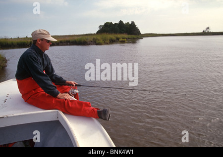 SHELLTOWN, MD, USA - 1997/09/25: ein Forscher für die Maryland Abteilung der natürlichen Ressourcen nimmt Menhaden Fisch auf Anzeichen für das Fleisch essen Pfiesteria Krankheit im Pocomoke River entlang der Chesapeake Bay 25. September 1997 in Shelltown, Maryland. Der Ausbruch verursacht einen Verlust von $ 43 Mio. Dollar in Angeln Einnahmen und wird geglaubt, durch den Abfluss von hühnermist von Farmen in der Umgebung verursacht werden. (Foto von Richard Ellis) Stockfoto