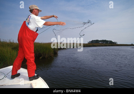 SHELLTOWN, MD, USA - 1997/09/25: ein Forscher für die Maryland Abteilung der natürlichen Ressourcen wirft einen Net auf Anzeichen für das Fleisch essen Pfiesteria Krankheit auf die Fischbestände im Pocomoke River entlang der Chesapeake Bay 25. September 1997 in Shelltown, Maryland zu betrachten. Der Ausbruch verursacht einen Verlust von $ 43 Mio. Dollar in Angeln Einnahmen und wird geglaubt, durch den Abfluss von hühnermist von Farmen in der Umgebung verursacht werden. (Foto von Richard Ellis) Stockfoto