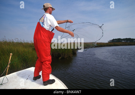 SHELLTOWN, MD, USA - 1997/09/25: ein Forscher für die Maryland Abteilung der natürlichen Ressourcen wirft einen Net auf Anzeichen für das Fleisch essen Pfiesteria Krankheit auf die Fischbestände im Pocomoke River entlang der Chesapeake Bay 25. September 1997 in Shelltown, Maryland zu betrachten. Der Ausbruch verursacht einen Verlust von $ 43 Mio. Dollar in Angeln Einnahmen und wird geglaubt, durch den Abfluss von hühnermist von Farmen in der Umgebung verursacht werden. (Foto von Richard Ellis) Stockfoto