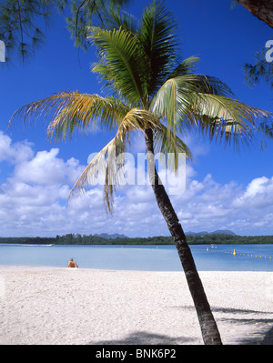 Tropischer Strand, Île Aux Cerfs Insel, Flacq Bezirk, Republik von Mauritius Stockfoto
