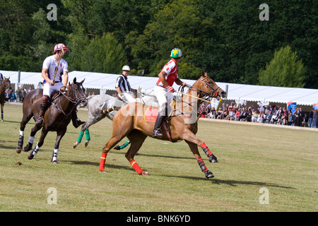 Pferd Polo match bei Glanusk Estate in Wales Stockfoto