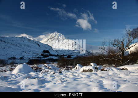 Tryfan im Schnee Ogwen Valley Snowdonia Gwynedd North Wales UK Stockfoto