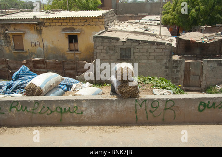 Afrika, Senegal, Dakar. Hauptstadt von Dakar. Vieh Heu in Taschen am Straßenrand in typischen Nachbarschaft verkauft. Stockfoto