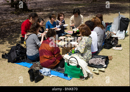 Gruppe von Frauen mit einem Picknick in Shinjuku Imperial-Garten, Tokyo, Japan Stockfoto