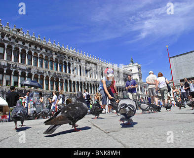 Ein Junge füttert Tauben in Markusplatz, Venedig, Italien Stockfoto