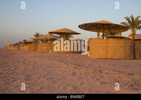 Sonnenliegen auf einem ägyptischen Strand bei Sonnenaufgang Stockfoto