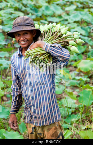 Lächelnde Bauern im Teich halten Lotusblumen - Provinz Siem Reap, Kambodscha Stockfoto