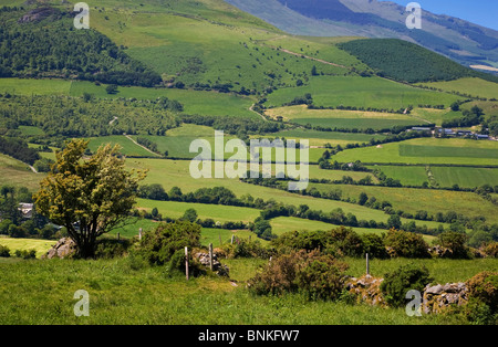 Pastorale Szene den Comeragh Mountains, Grafschaft Waterford, Irland Stockfoto