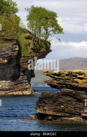 Überhängende Bäume auf erodierten felsigen Klippen am Ufer des Loch ich in der Nähe von Elgol, Isle Of Skye, Schottland Stockfoto